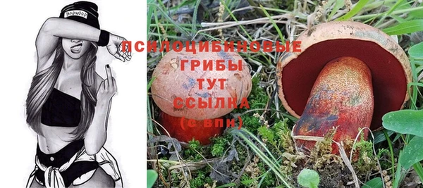 соль ск Абаза