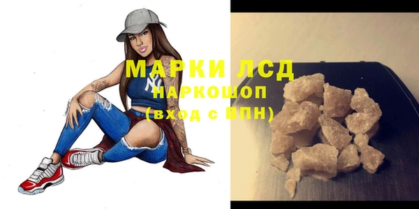 прущий лед Алзамай