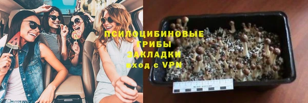 крисы Абинск