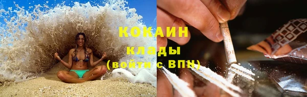 соль ск Абаза