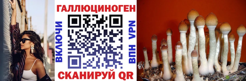 закладка  Татарск  Галлюциногенные грибы ЛСД 