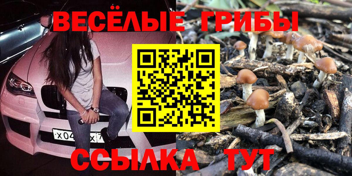Татарск  Галлюциногенные грибы ЛСД  наркотики  Вход с VPN 